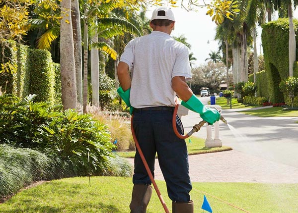 About Lebo KS Pest Control